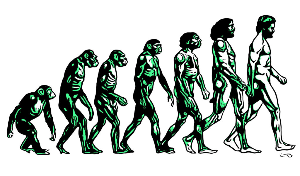 Pop art image of evolution